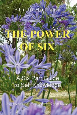 Imagen del vendedor de THE POWER OF SIX A Six Part Guide to Self Knowledge (Paperback or Softback) a la venta por BargainBookStores