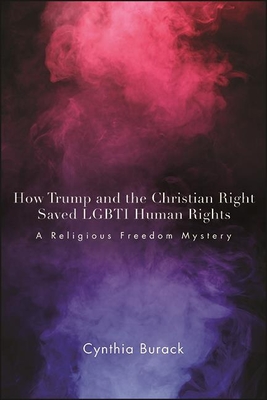 Bild des Verkufers fr How Trump and the Christian Right Saved LGBTI Human Rights (Paperback or Softback) zum Verkauf von BargainBookStores