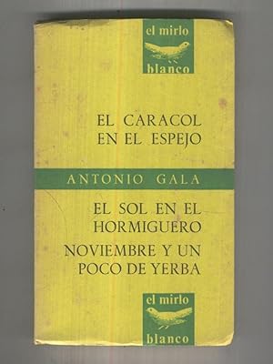 Seller image for El Mirlo Blanco numero 13: Teatro: El caracol en el espejo, El sol en el hormiguero, for sale by El Boletin