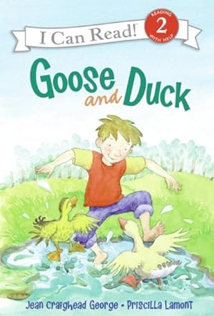 Seller image for Goose And Duck for sale by GreatBookPrices