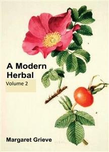 Seller image for Modern Herbal for sale by GreatBookPrices