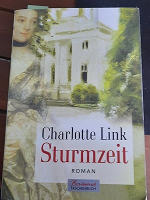 Seller image for Sturmzeit for sale by Remagener Bcherkrippe