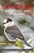 Bild des Verkufers fr Canada Jay, The: The National Bird of Canada? [Soft Cover ] zum Verkauf von booksXpress