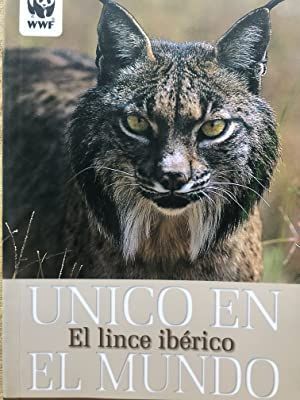 EL LINCE IBÉRICO