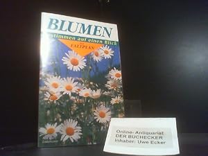 Bild des Verkufers fr Blumen : mit Faltplan. Michael Lohmann / Bestimmen auf einen Blick zum Verkauf von Der Buchecker