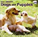 Seller image for All About Dogs and Puppies (All Aboard Books) [No Binding ] for sale by booksXpress