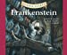Image du vendeur pour Frankenstein (Volume 23) (Classic Starts) [Audio Book (CD) ] mis en vente par booksXpress
