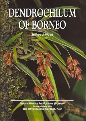 Imagen del vendedor de Dendrochilum of Borneo a la venta por GreatBookPrices