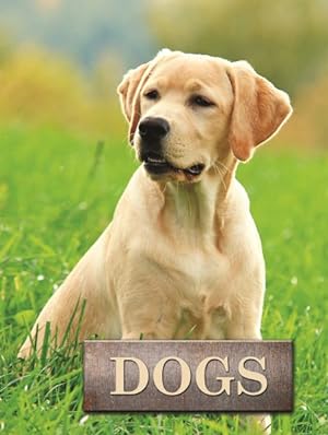 Imagen del vendedor de Dogs a la venta por GreatBookPrices