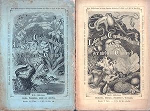 Imagen del vendedor de Leben und Eigenthmlichkeiten in der mittleren und niederen Thierwelt. ABTHEILUNG 1: Amphibien, Fische und Gliederthiere / ABTHEILUNG 2: Mollusken, Wrmer, Strahltiere, Protozoen. 2 Bde. (= komplett). a la venta por Antiquariat Reinhold Pabel