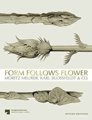 Seller image for Form Follows Flower : Moritz Meurer, Karl Blossfeldt & Co. -Language: german for sale by GreatBookPrices