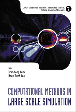 Seller image for Computational Methods in Large Scale Simulation for sale by GreatBookPrices