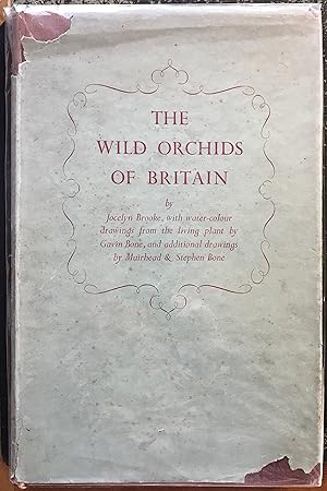 Imagen del vendedor de The Wild Orchids of Britain a la venta por The Sentinel Books