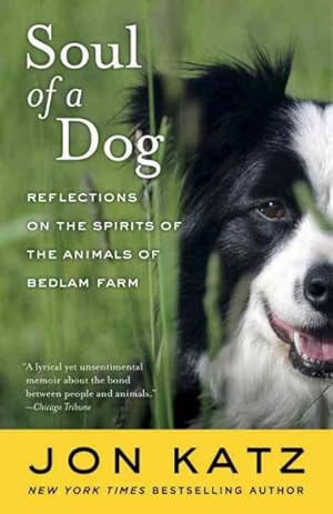Bild des Verkufers fr Soul of a Dog : Reflections on the Spirits of the Animals of Bedlam Farm zum Verkauf von GreatBookPrices