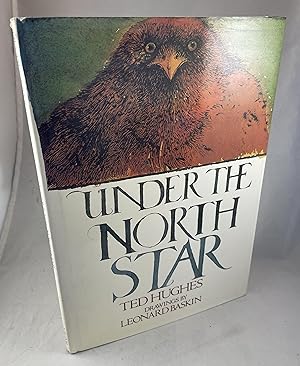 Seller image for Under the North Star for sale by Lost Paddle Books, IOBA