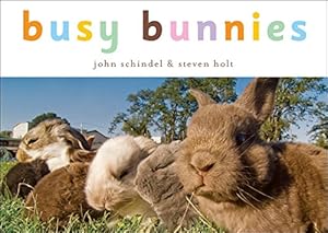 Bild des Verkufers fr Busy Bunnies zum Verkauf von Reliant Bookstore