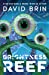 Seller image for Brightness Reef (The Uplift Saga, 4) by Brin, David [Paperback ] for sale by booksXpress