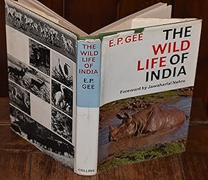 Seller image for THE WILD LIFE OF INDIA for sale by CHESIL BEACH BOOKS