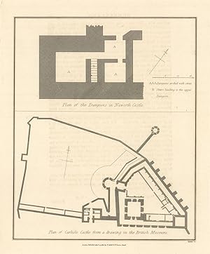Plan of Carlisle Castle, from a drawing in the British Museum; and Plan of the Dungeons in Nawort...