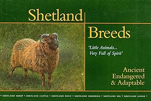 Immagine del venditore per Shetland Breeds: Little Animals- Very Full of Spirit, Ancient, Endangered & Adaptable venduto da Pendleburys - the bookshop in the hills
