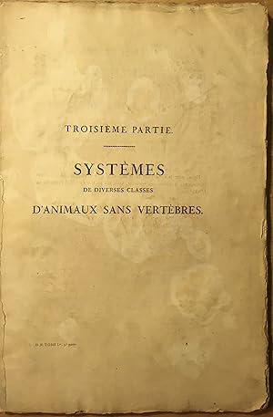 Image du vendeur pour Systmes de diverses classes d'animaux sans vertbres : Systme des annelides (I) : principalement de celles des ctes de l'gypte et de la Syrie, offrant les caractres tant distinctifs que naturels des ordres, familles et genres, avec la description des espces. t. 1, ptie. 3. mis en vente par PRISCA