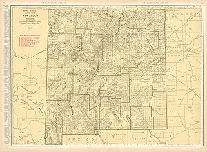 Bild des Verkufers fr McNally's 1928 Map of New Mexico zum Verkauf von Art Source International Inc.