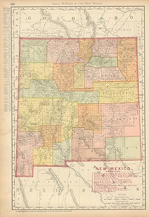 Bild des Verkufers fr McNally's 1902 Map of New Mexico zum Verkauf von Art Source International Inc.