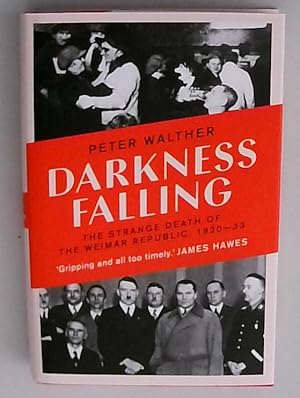 Darkness falling : the strange death of the Weimar Republic, 1930-33. Peter Walther ; translated ...