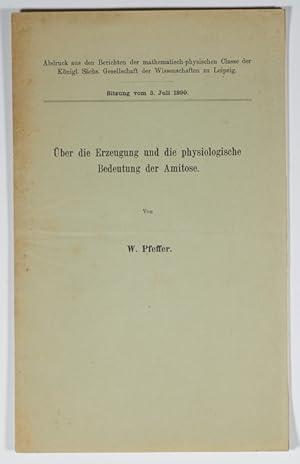 Bild des Verkufers fr ber die Erzeugung und die physiologische Bedeutung der Amitose. zum Verkauf von Antiq. F.-D. Shn - Medicusbooks.Com