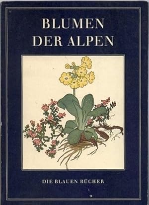 Blumen der Alpen