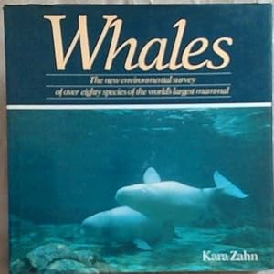 Seller image for Whales for sale by Chapter 1