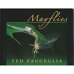 Bild des Verkufers fr MAYFLIES: MAJOR EASTERN AND MIDWESTERN HATCHES. By Ted Fauceglia. zum Verkauf von Coch-y-Bonddu Books Ltd