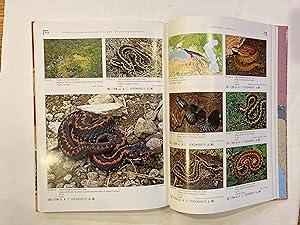 TERRALOG - VENOMOUS SNAKES OF EUROPE; NORTHERN, CENTRAL, AND WESTERN ASIA