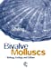 Seller image for Bivalve Molluscs: Biology, Ecology and Culture [Hardcover ] for sale by booksXpress