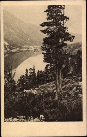 Ansichtskarte / Postkarte Hohe Tatra Polen, Limba nad Morskiem Okiem