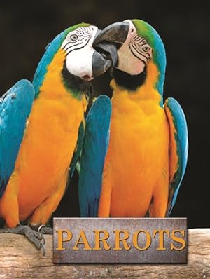 Seller image for Parrots for sale by GreatBookPricesUK