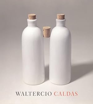 Seller image for Waltercio Caldas for sale by GreatBookPricesUK