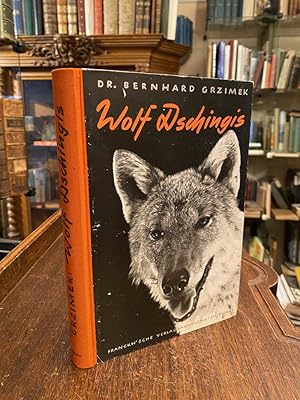 Wolf Dschingis : Neue Erlebnisse, Erkenntnisse und Versuch mit Tieren.