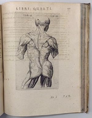 (BAUHIN, CASPAR. Theatrum anatomicum. Infinitis locis auctum, ad morbos accommodatum & ab errorib...