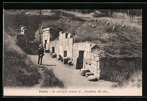 Immagine del venditore per Cartolina Orvieto, La necropoli etrusca al Crocifisso del tufo venduto da Bartko-Reher