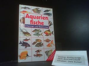 Bild des Verkufers fr Aquarienfische. Autor Dick Mills. Ill. Joan Thompson ; Philip Weare. Dt. Text Heinz Schrder / Erkennen und bestimmen; Kompakt und informativ zum Verkauf von Der Buchecker