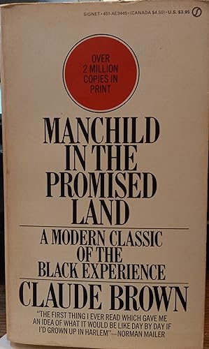 Manchild in the Promised Land: A Modern Classic of the Black Experience