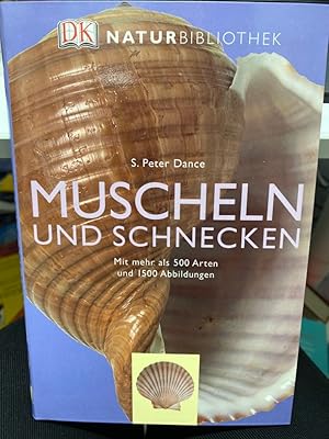 Bild des Verkufers fr Muscheln und Schnecken Mit mehr als 500 Arten. zum Verkauf von bookmarathon