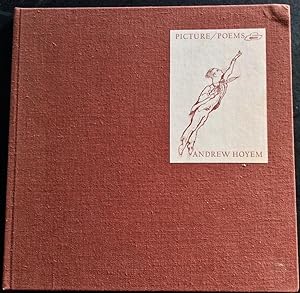 PICTURE / POEMS AN ILLUSTRATED CATALOGUE OF DRAWINGS & RELATED WRITINGS 1961-1974