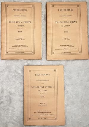 Proceedings of The Scientific Meetings of the Zoological Society of London for the Year 1873 (Com...
