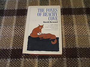 The Foxes Of Beachy Cove