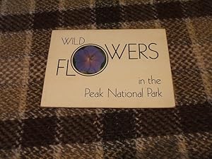 Wild Flowers In The Peak National Park