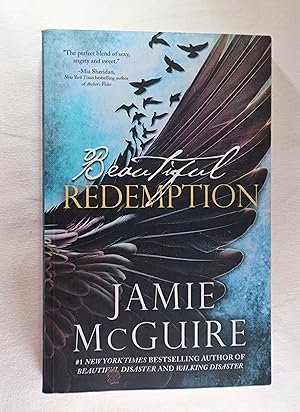 Beautiful Redemption: A Novel (The Maddox Brothers Series)