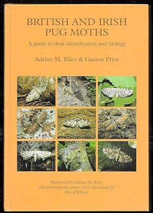 Seller image for British and Irish Pug Moths. A Guide to their Identification and Biology for sale by Trafford Books PBFA