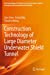 Seller image for Construction Technology of Large Diameter Underwater Shield Tunnel (Key Technologies for Tunnel Construction under Complex Geological and Environmental Conditions) by Chen, Jian, Min, Fanlu, Wang, Shouhui [Paperback ] for sale by booksXpress